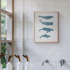 A Pod Framed Mosaic